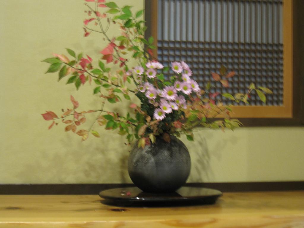 Manshuya Hotel Gujo Exterior photo
